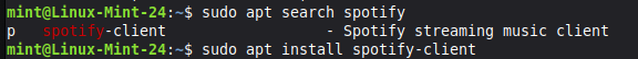 Ein Bild wie im Terminal nach dem spotify Packet gesucht wurde.